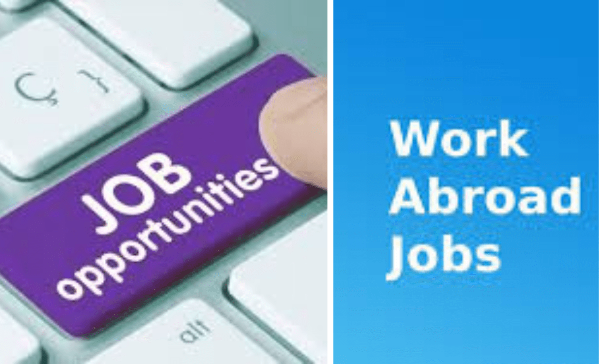 Golden opportunity for Himachal youth to secure jobs abroad, recruitment camp in Mandi on Dec 18