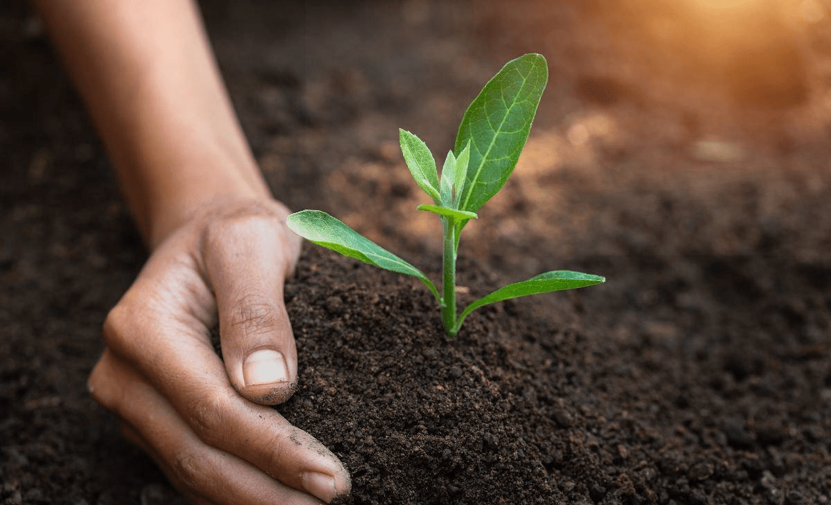 World Soil Day: Story of its origin and global expansion