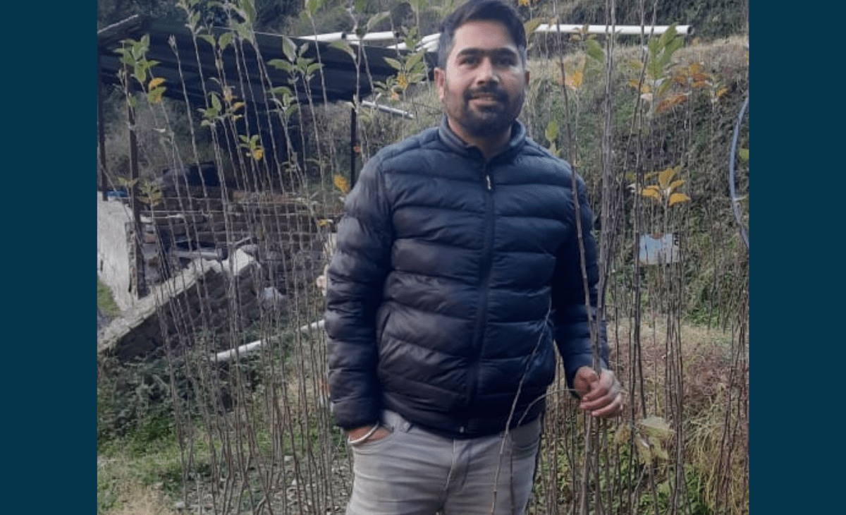 Gardeners advised to take special care while planting apple and other fruit trees