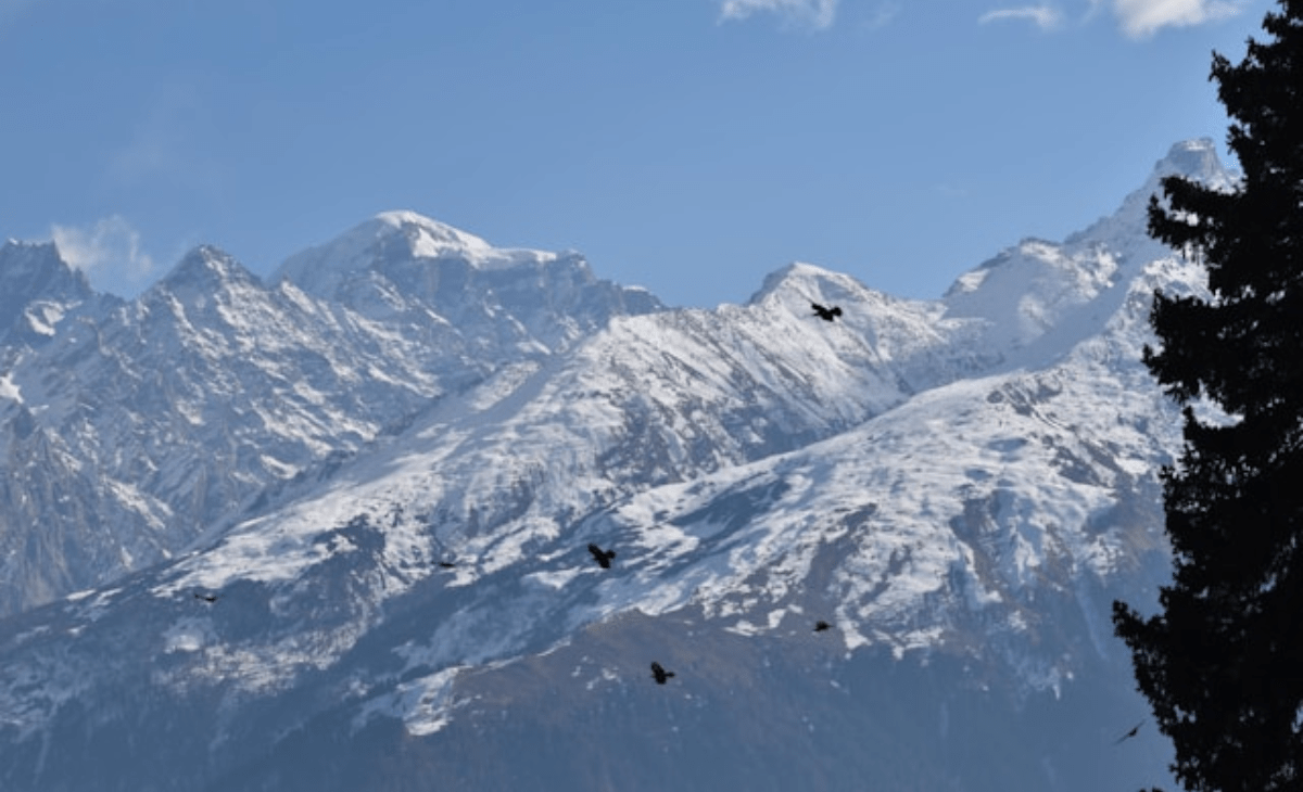 Himachal weather: Mercury dips further as higher peaks receive fresh snow; another spell predicted
