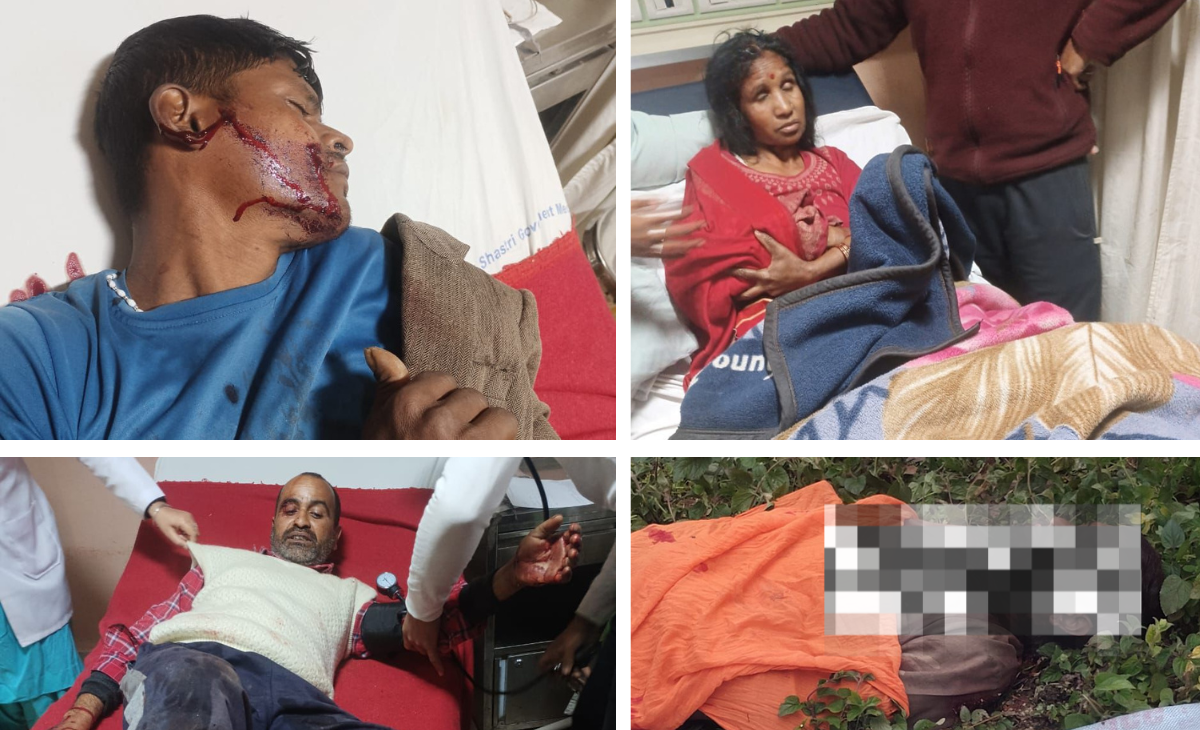 Man-eating leopard neutralised in Balh valley of Himachal after it k*ills 1, injured 5 across 3 villages