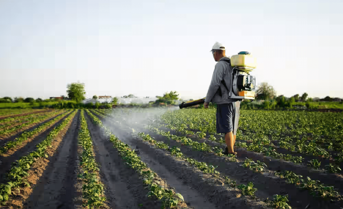 Fertiliser meant for Himachal sold at 50% higher rates in Punjab black market as local farmers suffer