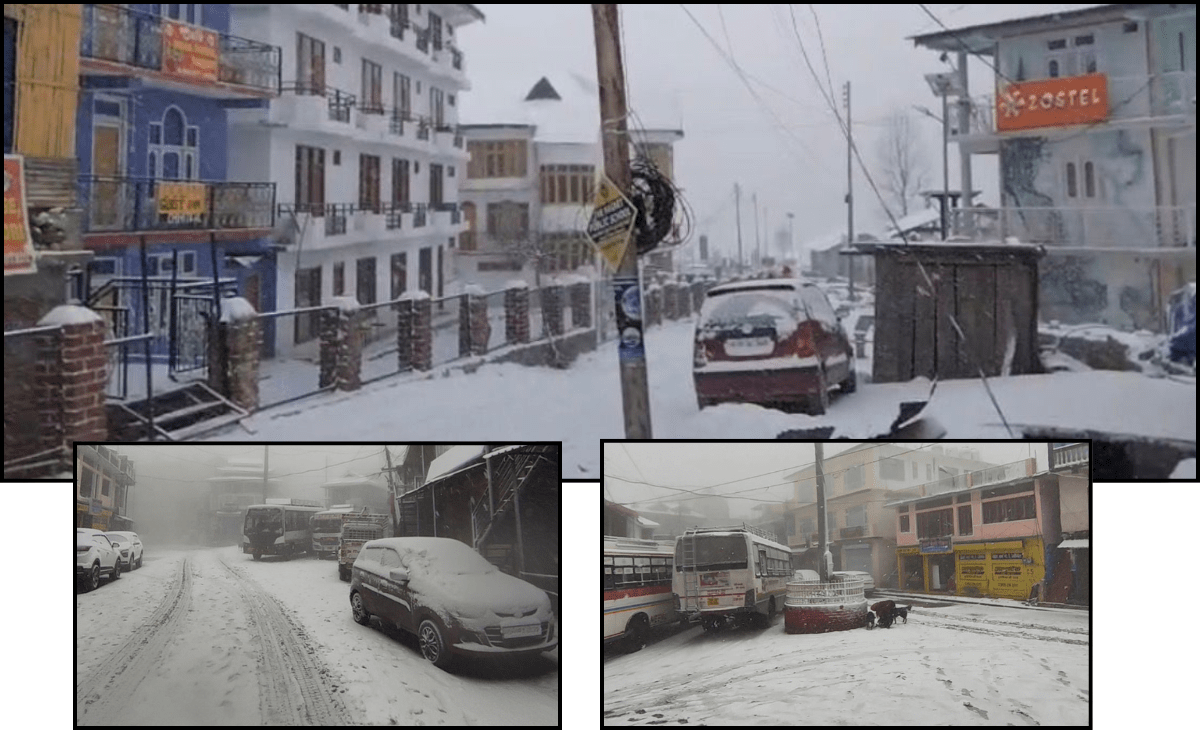 Season’s First Snowfall Blankets Himachal Pradesh, Life Disrupted Across Hill Districts