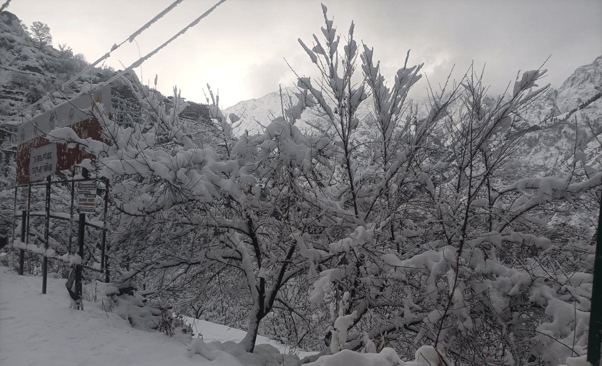 Heavy Snowfall Alert in Himachal Pradesh; Next Six Hours Critical