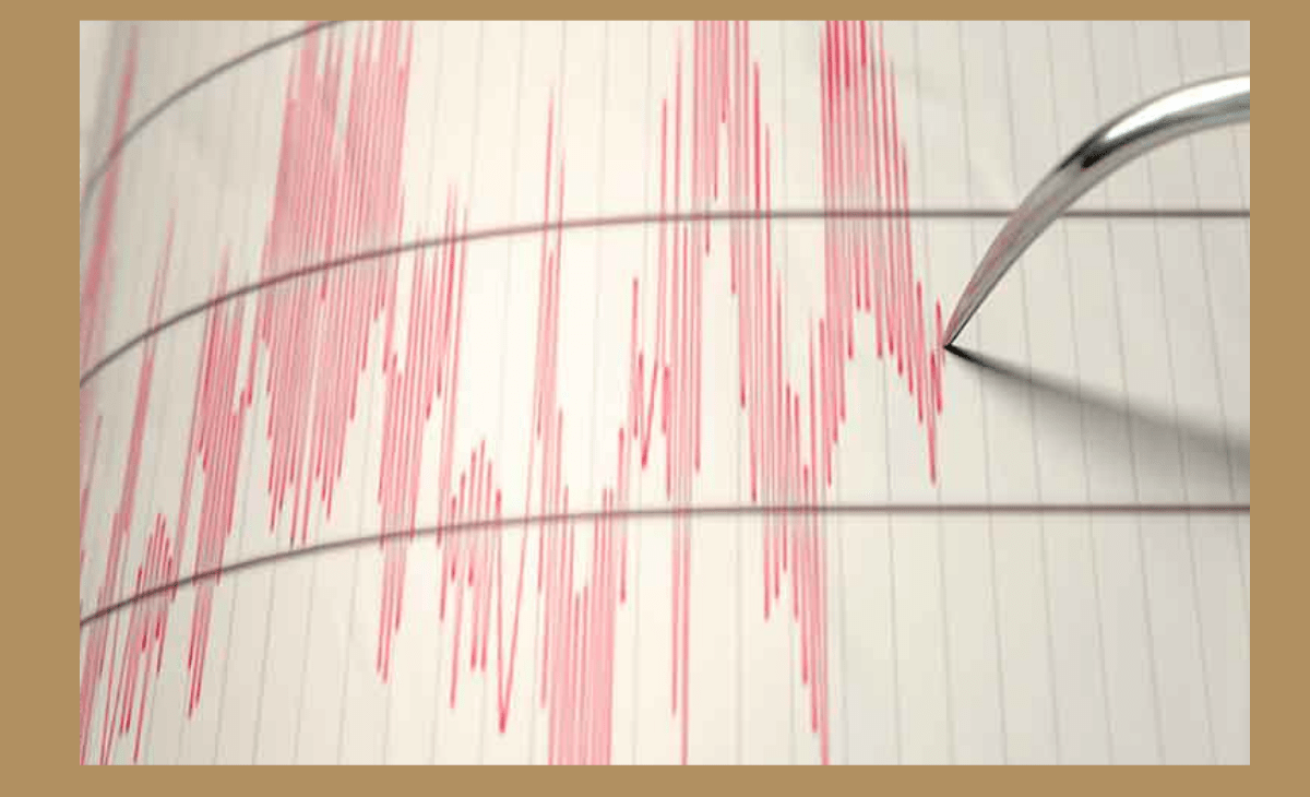 Mild earthquake shakes Mandi, parts of Himachal fall under red zone