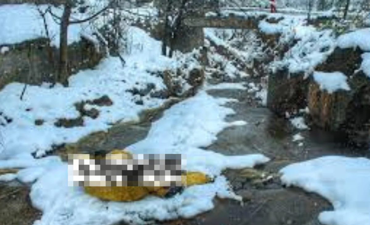 Youth d*ies due to cold in Kullu as Himachal reels under intense chilly weather