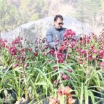 Political Turmoil in Nishad Party as Former Secretary Takes His Own Life 1200 x 730 px 65