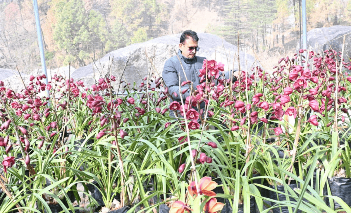 Political Turmoil in Nishad Party as Former Secretary Takes His Own Life 1200 x 730 px 65