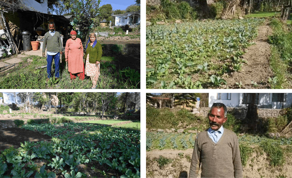 Natural Farming Brings New Hope to Tikkri Mushehra and Sagnehar Villages in Himachal’s Mandi District