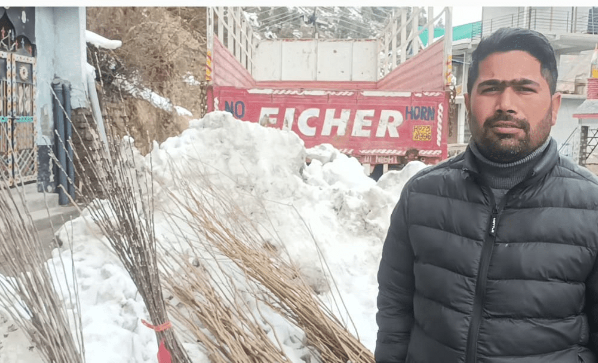 6,000 Fruit Saplings Reach Horticulture Extension Centres in Bharmour