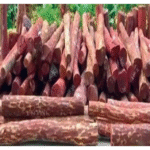 Sandalwood Smuggling Incident Near Bilaspur Raises Serious Questions Over Forest Security