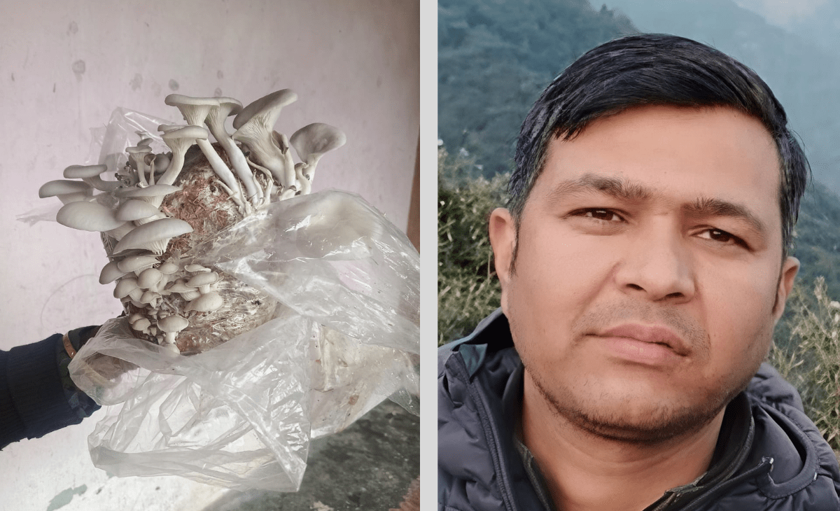 Youth-Led Mushroom Initiative Highlights Self-Reliance Push, Exposes Gaps in Soil Health Scheme in Chohar Valley