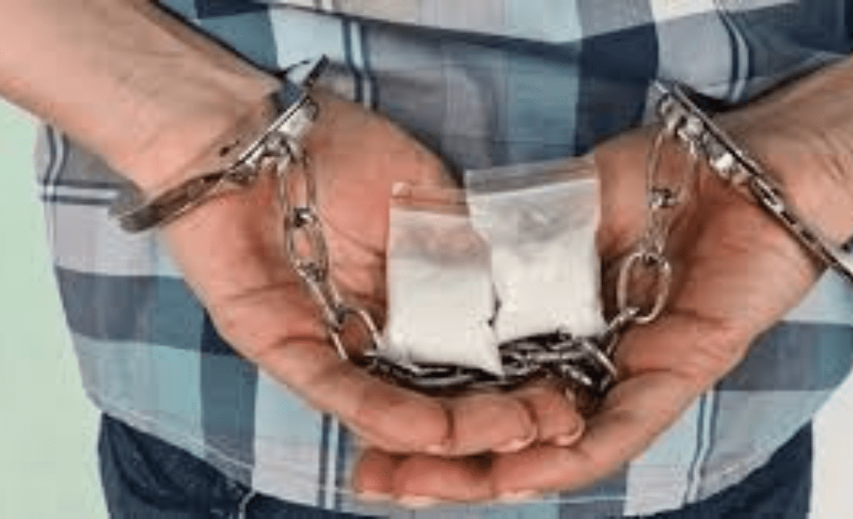 Shimla Police Dismantle Major Drug Network, Arrest Key Supplier from Punjab