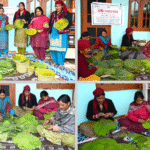 Leaf Plate Enterprise Empowers Rural Women in Mandi, Hety Devi Earns ₹10,000 Monthly