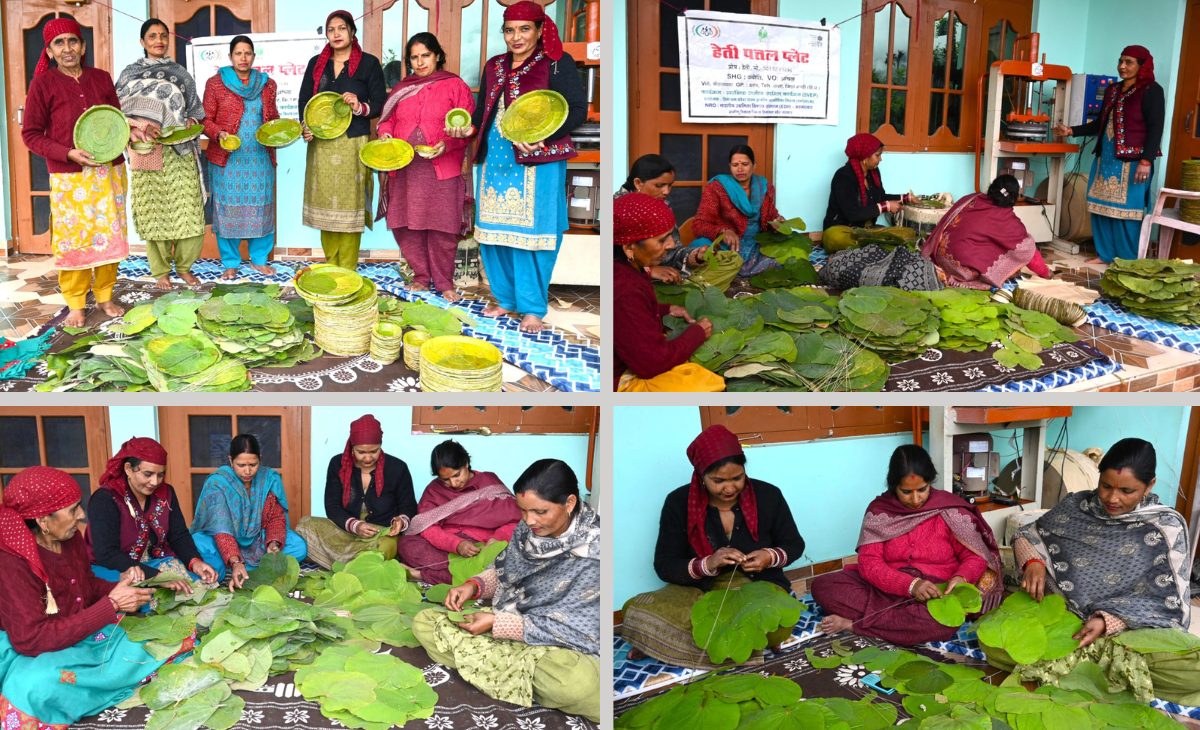 Leaf Plate Enterprise Empowers Rural Women in Mandi, Hety Devi Earns ₹10,000 Monthly