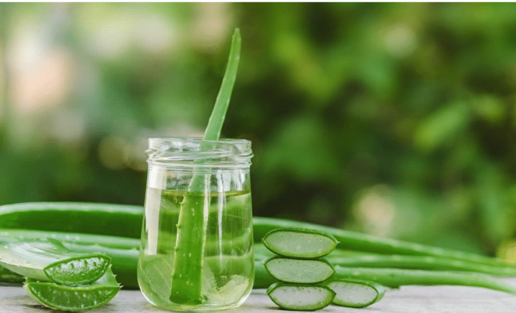 From Remedies to Research: Plants Transforming Skincare 2 a2 3