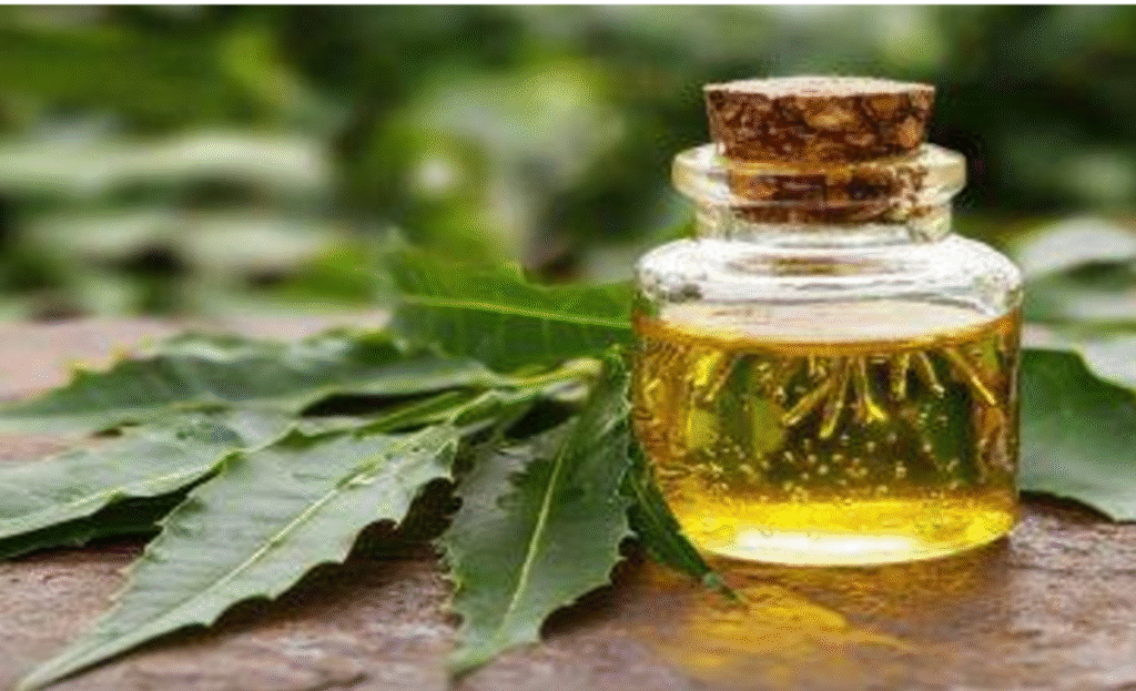 From Remedies to Research: Plants Transforming Skincare 4 a3 2