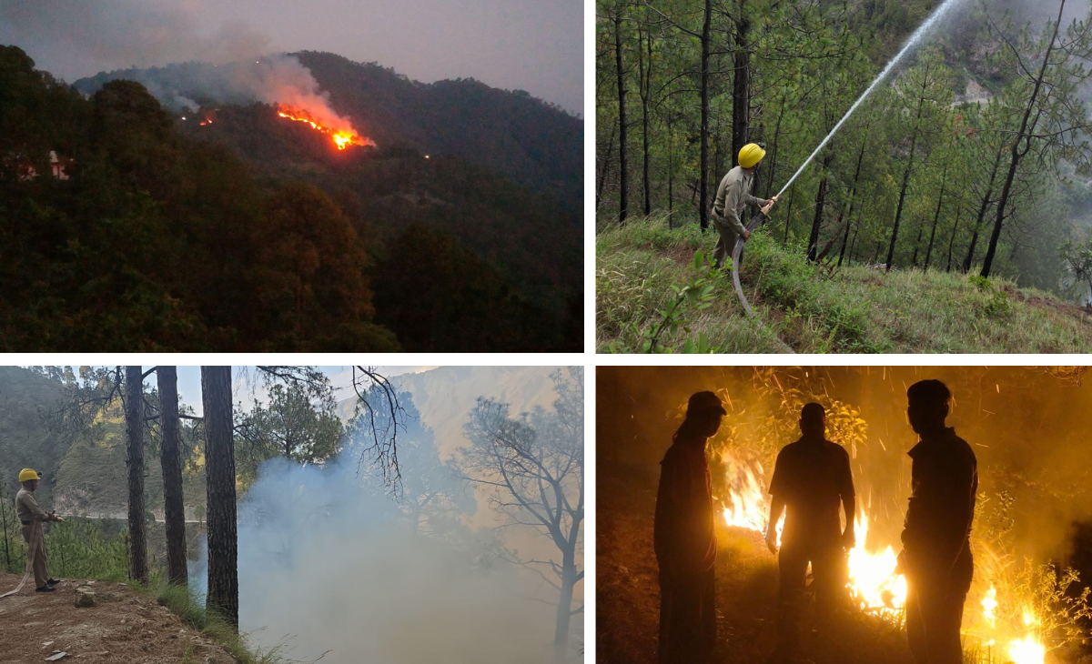 Forest Fires Turn Into Himachal’s Biggest Environmental Challenge; Mandi Emerges as Worst-Hit District