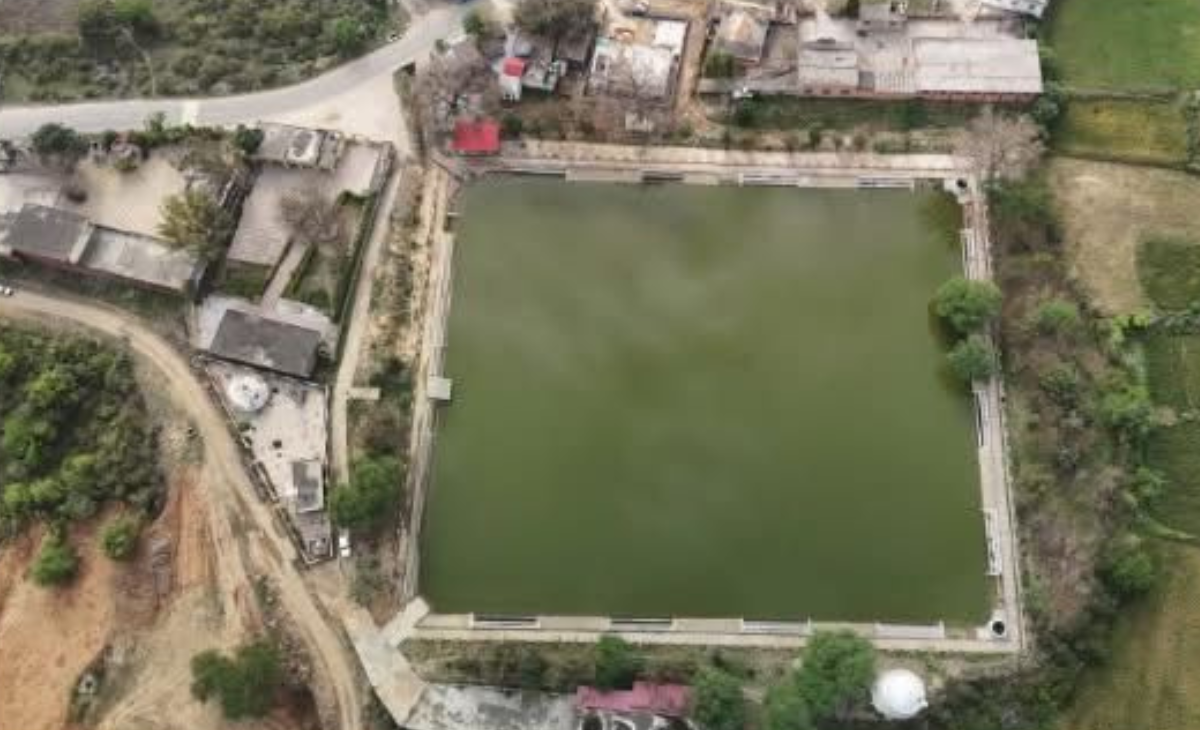 Haroli Activist Flags Alleged Double Funding in Una Pond Project, Seeks Vigilance Probe