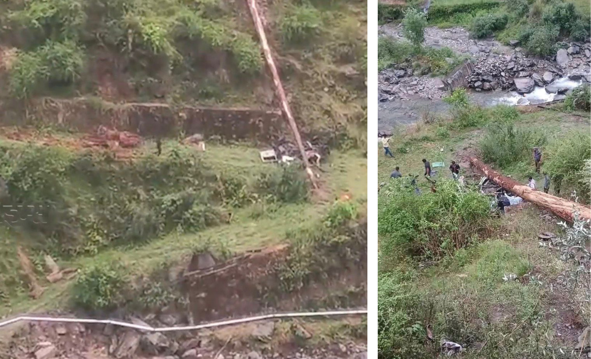 Nature’s Fury in Himachal: Four Women Teachers Killed as Tree Crushes Moving Vehicle in Ani