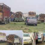 Nurpur Police Foil Illegal Timber Transport, Three Cases Registered