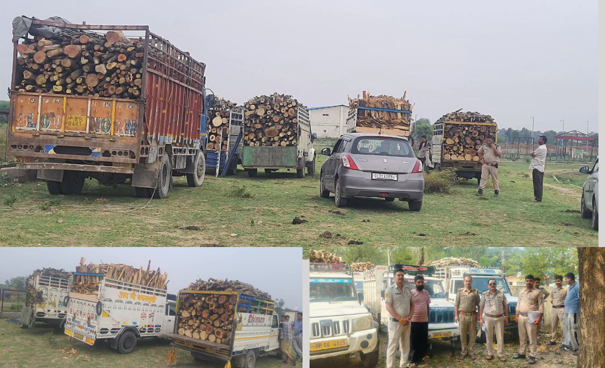 Nurpur Police Foil Illegal Timber Transport, Three Cases Registered