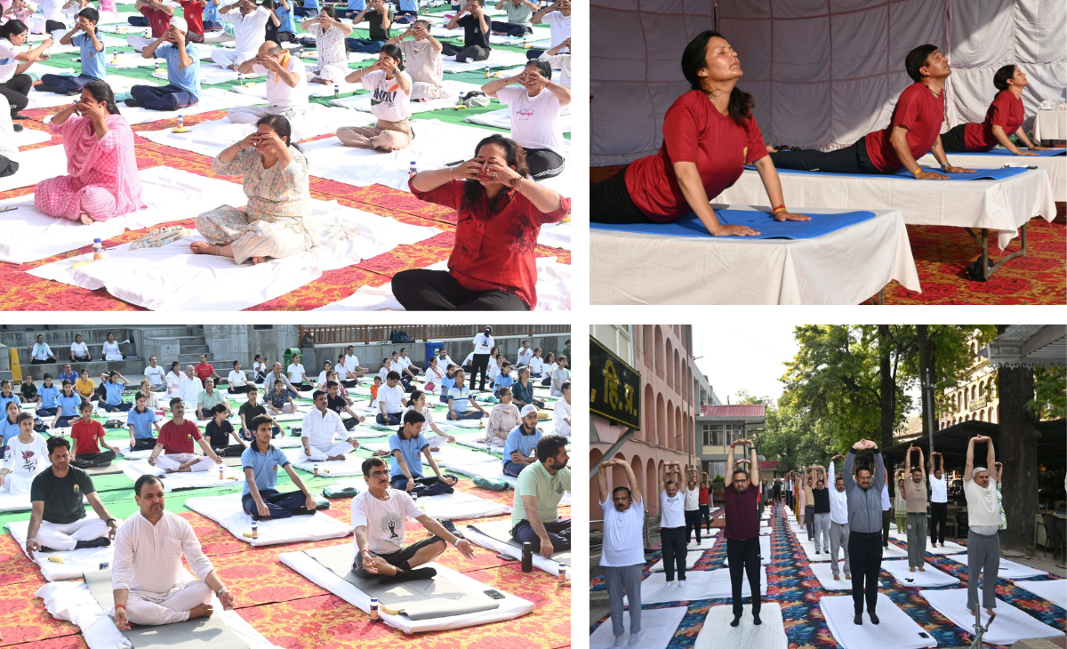 Mass Yoga Sessions Held Across Mandi to Mark International Yoga Day