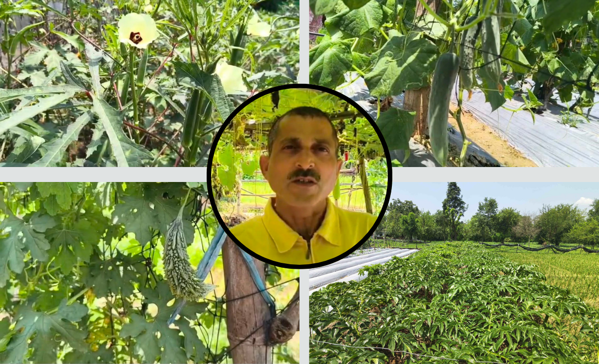 Gang posing as police to rob truckers busted in Himachal industrial hub Baddi, accused arrested from Mohali 3 Natural Farming Success: Sarkaghat Farmer Earns Up to ₹2 Lakh a Year from Just Two Bighas