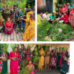 Massive Plantation Drive Marks 75 Years of Chinmaya Nanda Ji’s Discourses