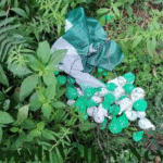 Pakistani Flag and Over 30 Balloons Found in Churah, Stir in Chamba District