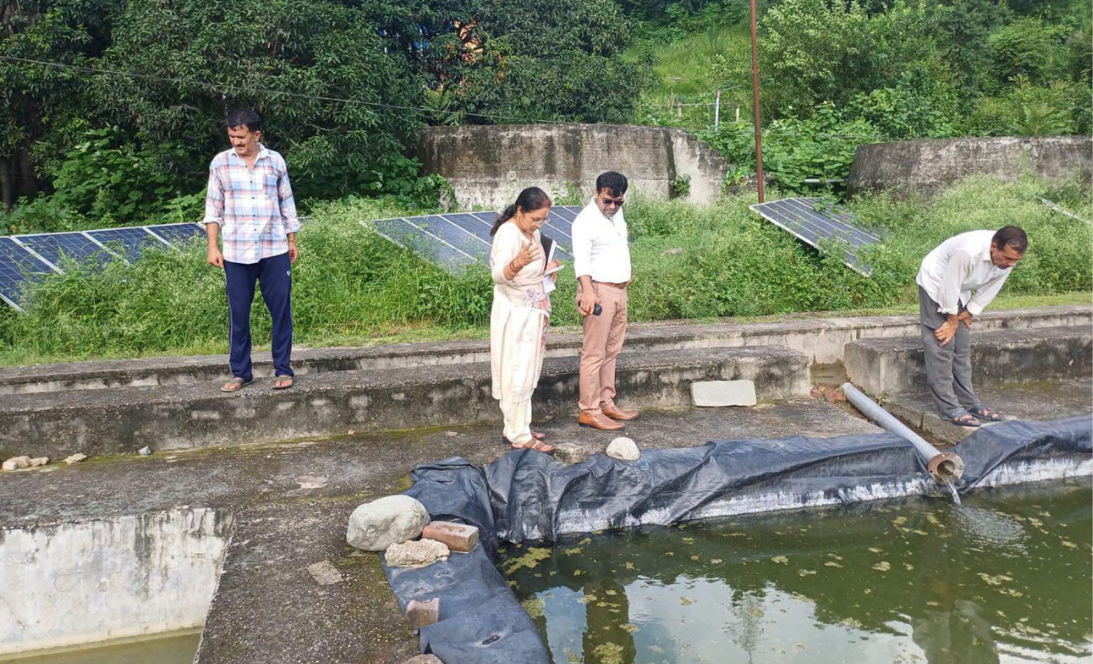 Himachal Fisheries Department Plans Major Revamp of Alsu Farm to Boost Fish Production