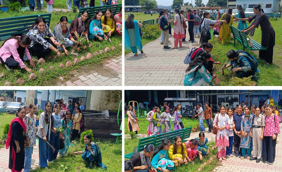 Plantation Drive by Hindi Department Students at Nurpur College
