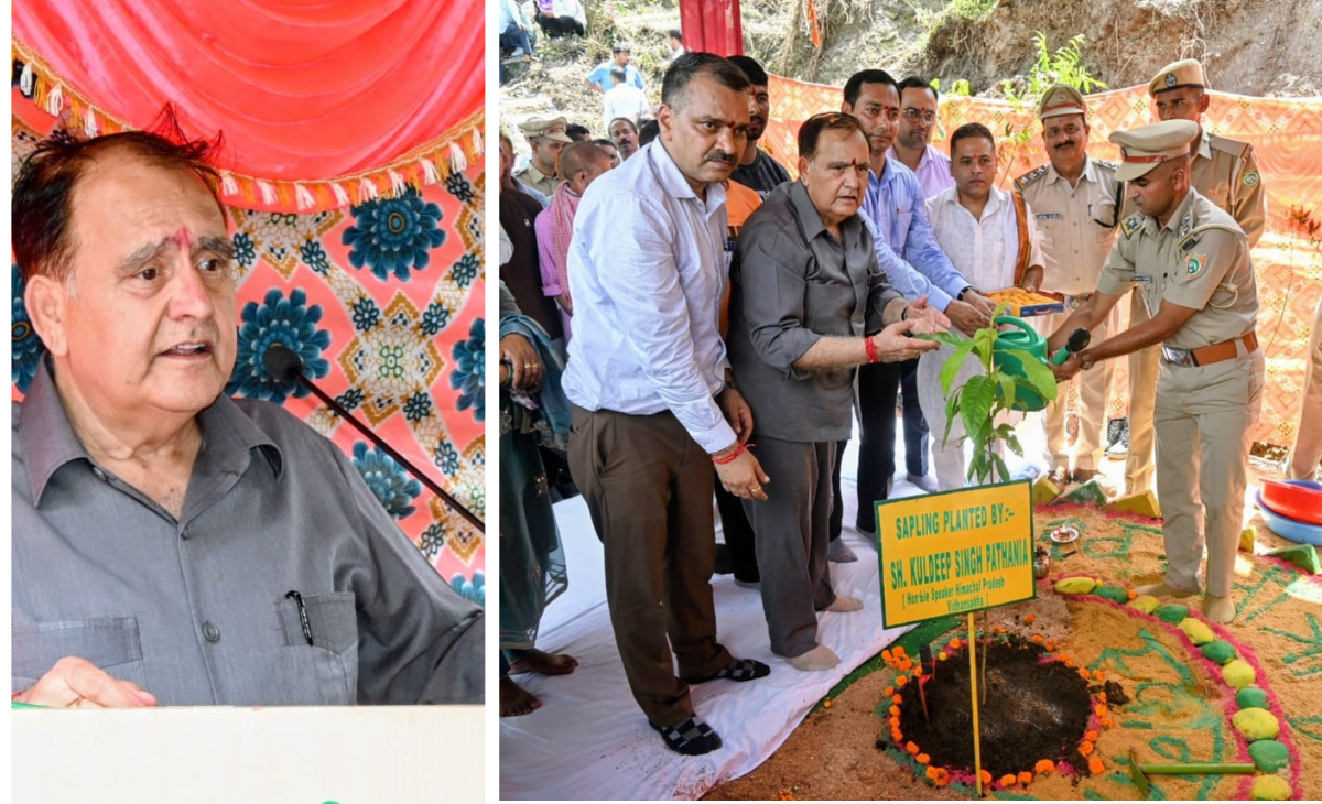 77th District-Level Van Mahotsav Celebrated in Turkra, Bhatiyat