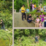 A Small Youth Group, A Big Green Resolve: 200 Saplings Planted Near Mandi