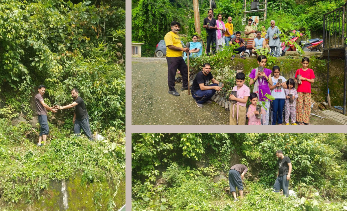 A Small Youth Group, A Big Green Resolve: 200 Saplings Planted Near Mandi
