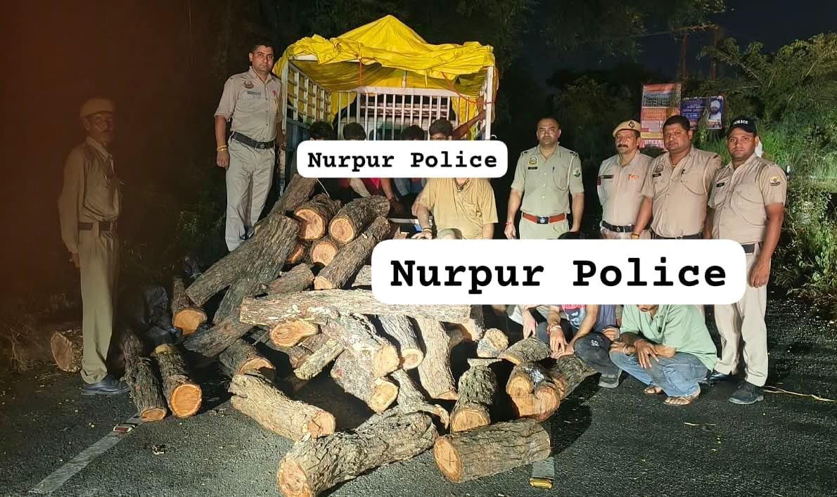 Damtaal Police Crack Down on Timber Mafia; 84 Khair Logs, Two Vehicles and Cutting Equipment Seized, Nine Accused Booked