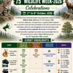 Himachal Pradesh to Celebrate 75th Wildlife Week from October 2 to 8