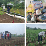 CSIR Smart Village Mission: Madhya Pradesh Farmers Move Towards Economic Self-Reliance through Commercial Marigold Cultivation with IHBT Support.