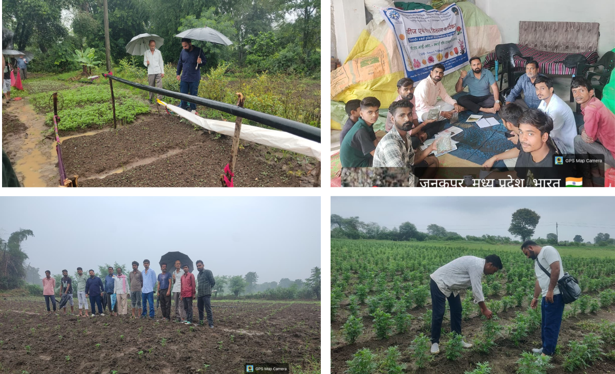 CSIR Smart Village Mission: Madhya Pradesh Farmers Move Towards Economic Self-Reliance through Commercial Marigold Cultivation with IHBT Support.