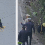 Bear Rescued at Dalhousie Bus Stand After Head Gets Stuck in Canister
