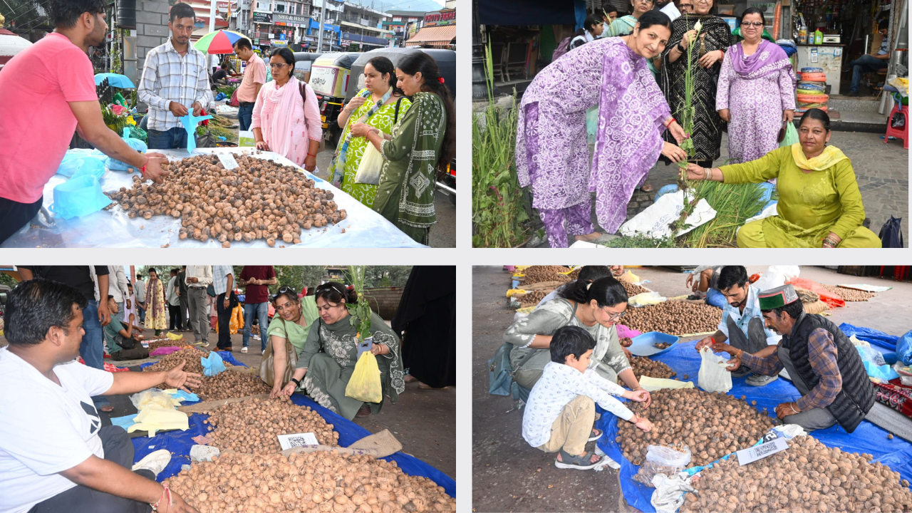 Sair Brings Mandi Alive to an Age-Old Celebration of Harvest, Family and Tradition