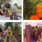 CSIR-IHBT Promotes Beekeeping for Sustainable Livelihoods in Madhya Pradesh Village