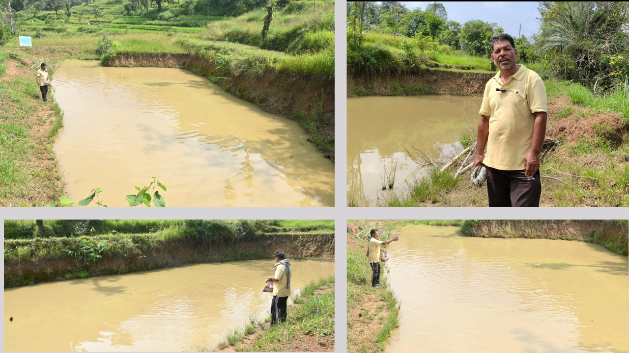 Fish Farming Offers a Path to Self-Employment in Himachal’s Rural Hinterland